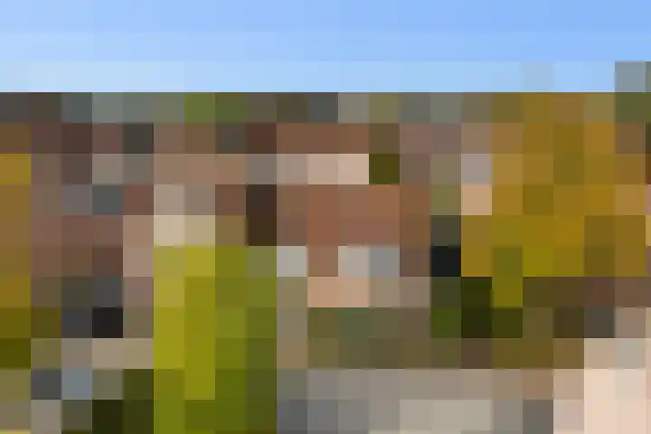 Kingmastate 46 Leeuwarden thumbnail 36