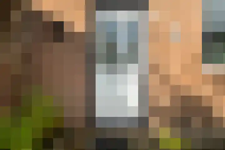 Kingmastate 46 Leeuwarden thumbnail 5