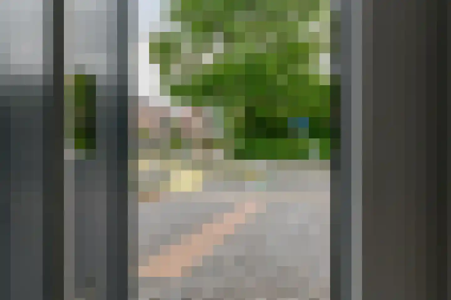 Kingmastate 60 Leeuwarden thumbnail 10