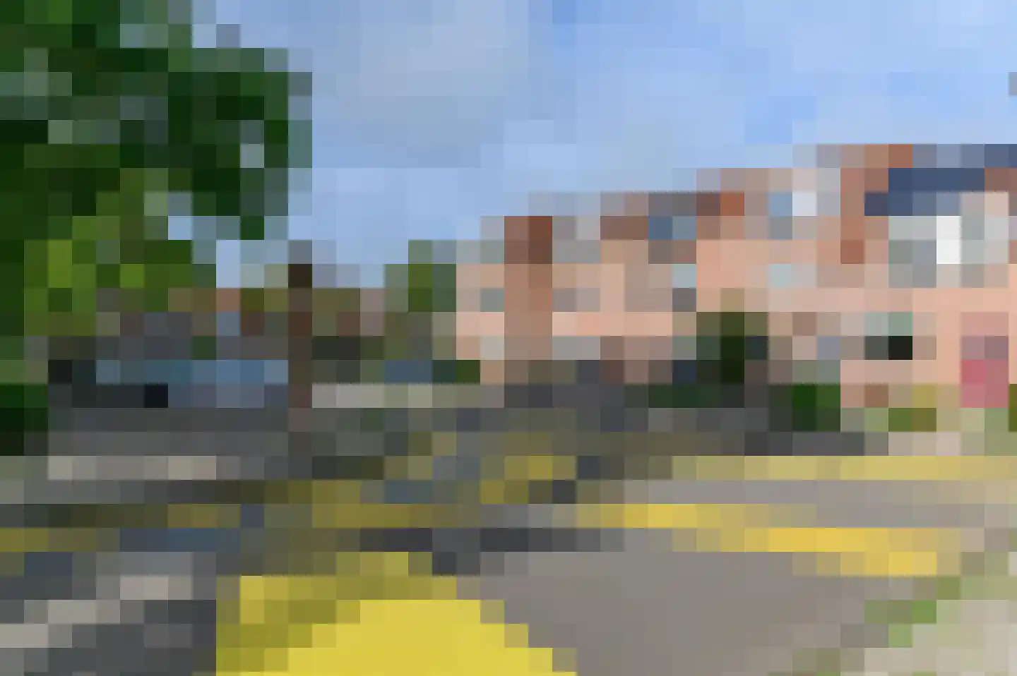 Kingmastate 60 Leeuwarden thumbnail 4