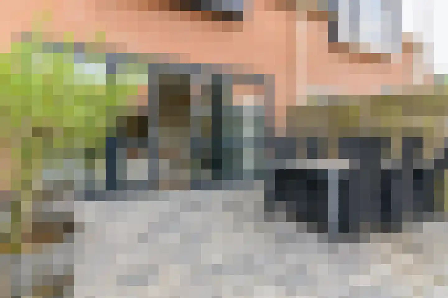 Kingmastate 60 Leeuwarden thumbnail 48