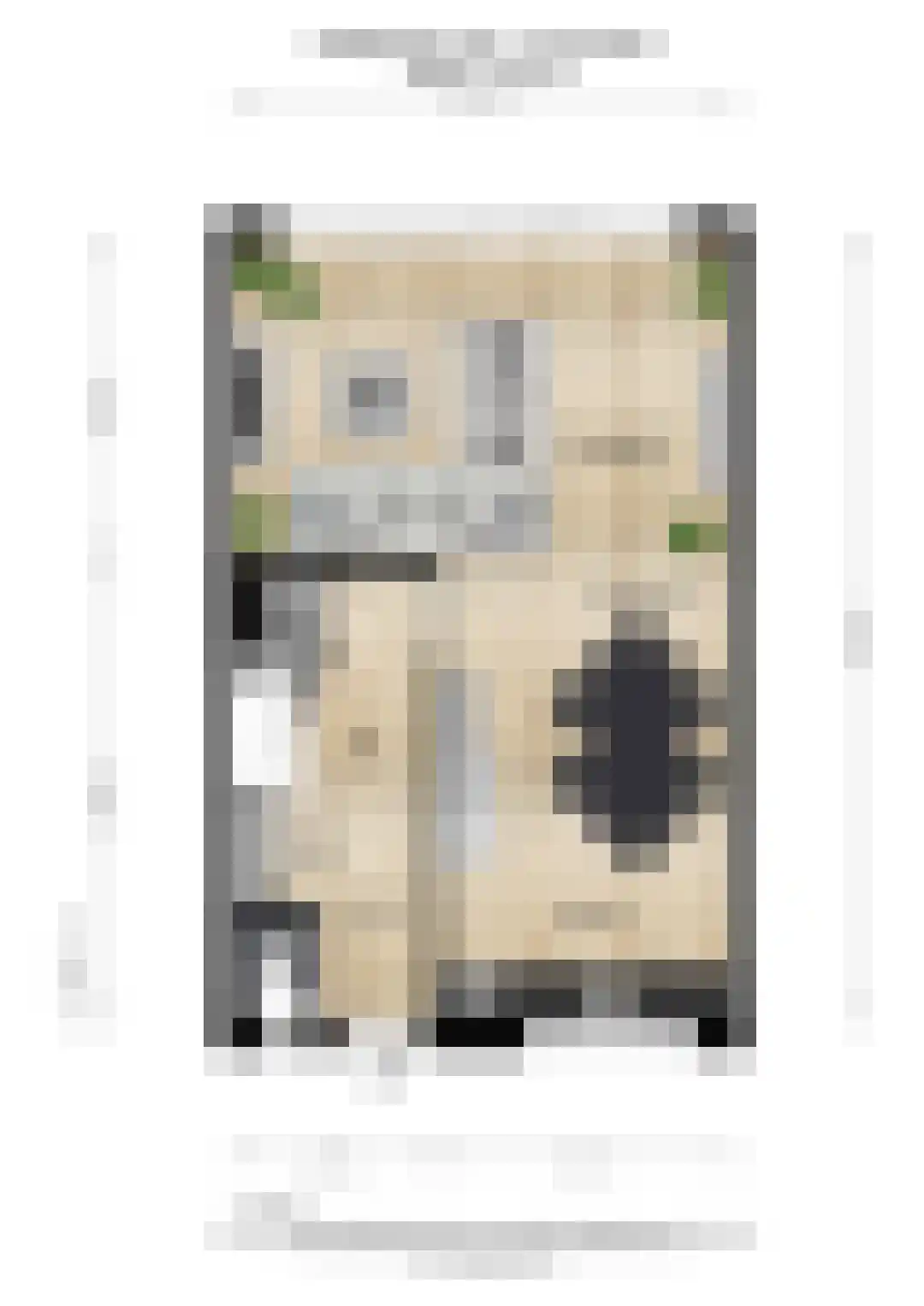 Kingmastate 60 Leeuwarden thumbnail 64