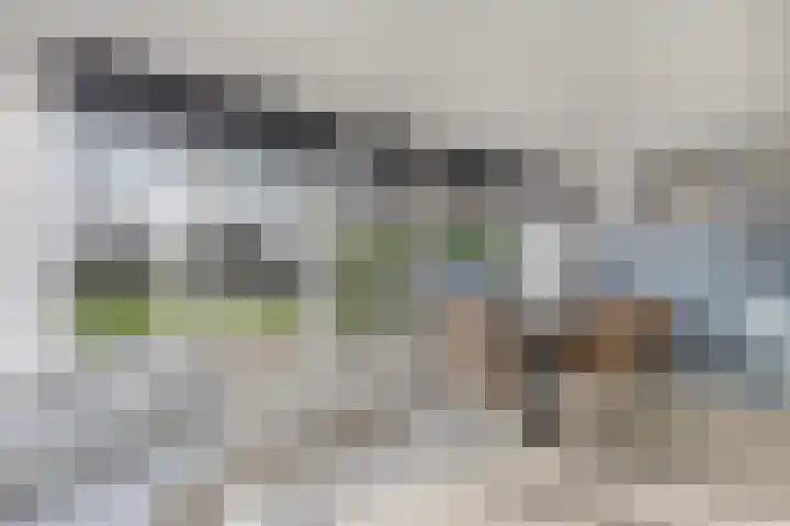Kingmatille 4 Zweins thumbnail 12