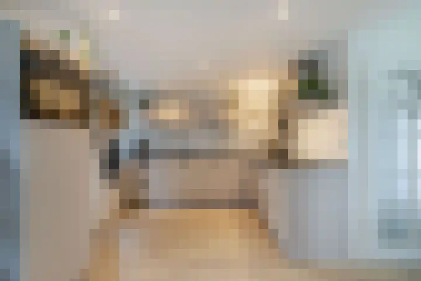 Kingmatille 4 Zweins thumbnail 13