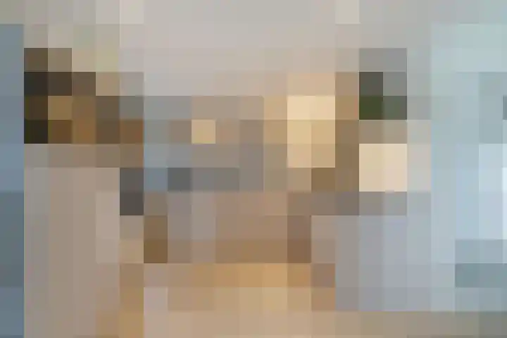 Kingmatille 4 Zweins thumbnail 13