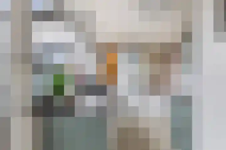 Kingmatille 4 Zweins thumbnail 17