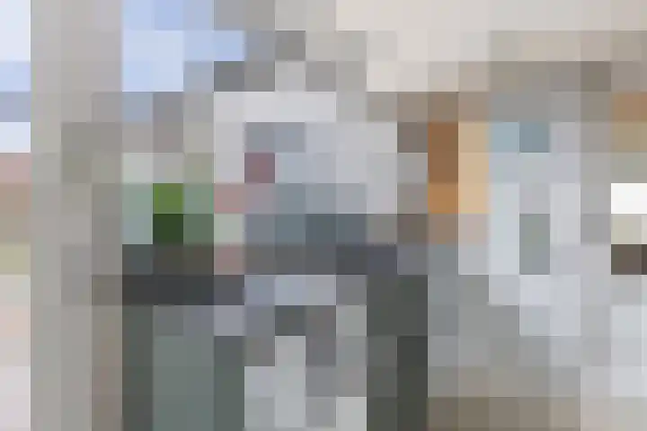 Kingmatille 4 Zweins thumbnail 18