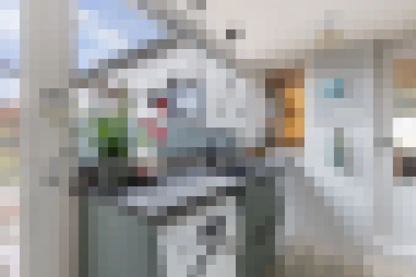 Kingmatille 4 Zweins thumbnail 18