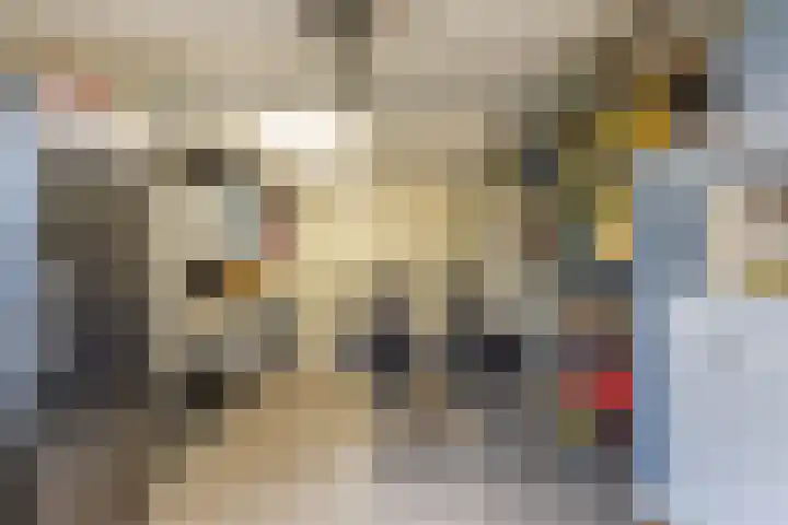 Kingmatille 4 Zweins thumbnail 19
