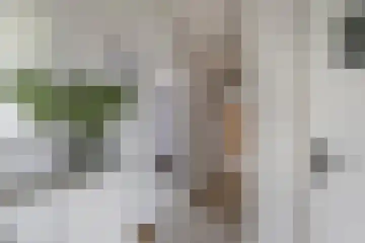 Kingmatille 4 Zweins thumbnail 20
