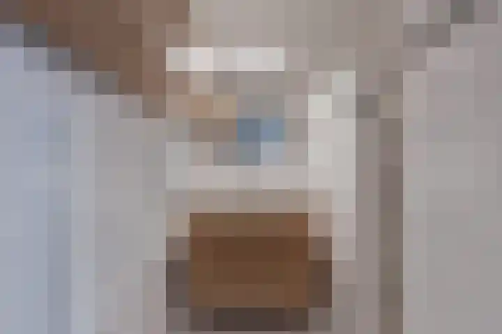 Kingmatille 4 Zweins thumbnail 21