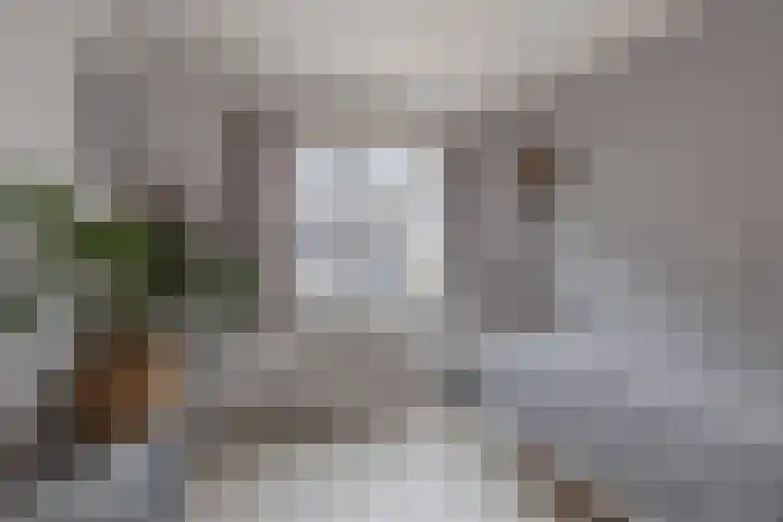 Kingmatille 4 Zweins thumbnail 25