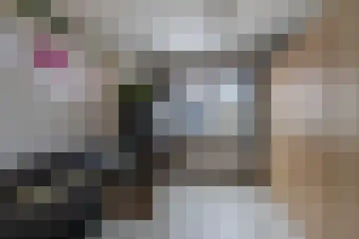 Kingmatille 4 Zweins thumbnail 26