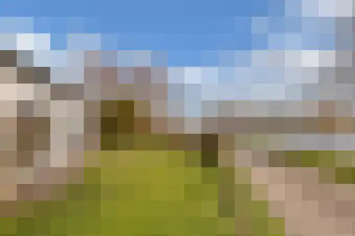 Kingmatille 4 Zweins thumbnail 32
