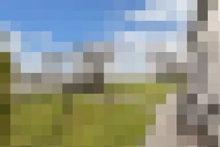 Kingmatille 4 Zweins thumbnail 33