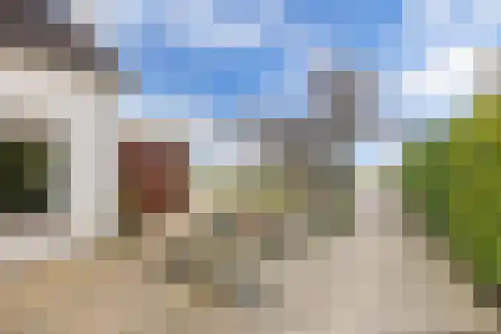 Kingmatille 4 Zweins thumbnail 35