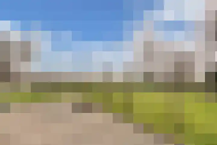 Kingmatille 4 Zweins thumbnail 36