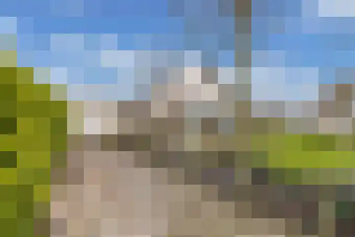 Kingmatille 4 Zweins thumbnail 40