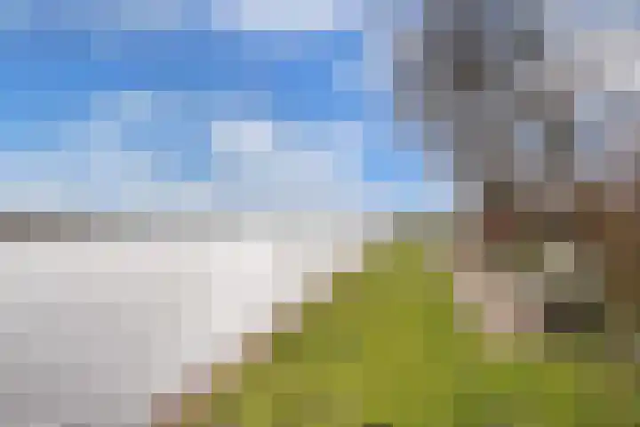 Kingmatille 4 Zweins thumbnail 43