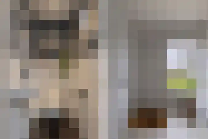 Kingmatille 4 Zweins thumbnail 5