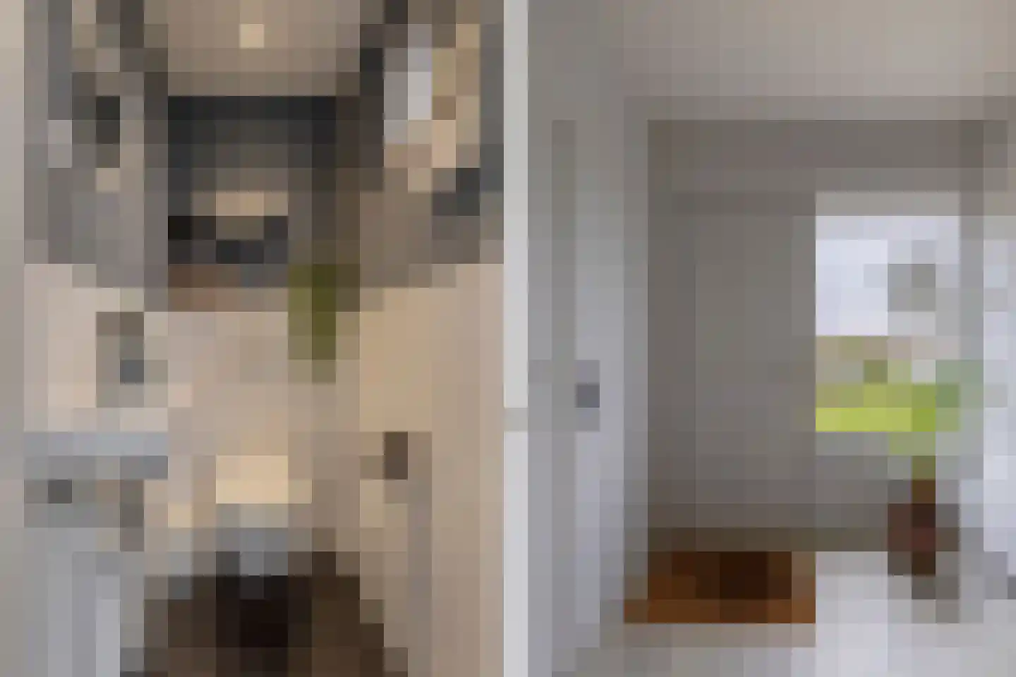 Kingmatille 4 Zweins thumbnail 5