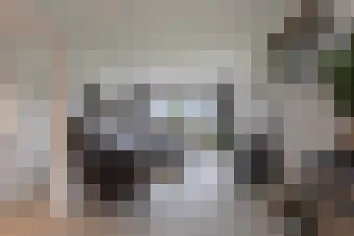Kingmatille 4 Zweins thumbnail 6