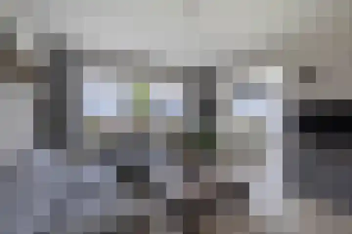 Kingmatille 4 Zweins thumbnail 9