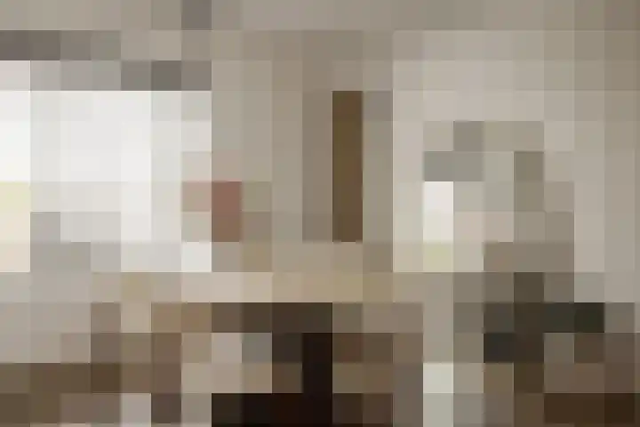 Kinheim 242 Zwanenburg thumbnail 13