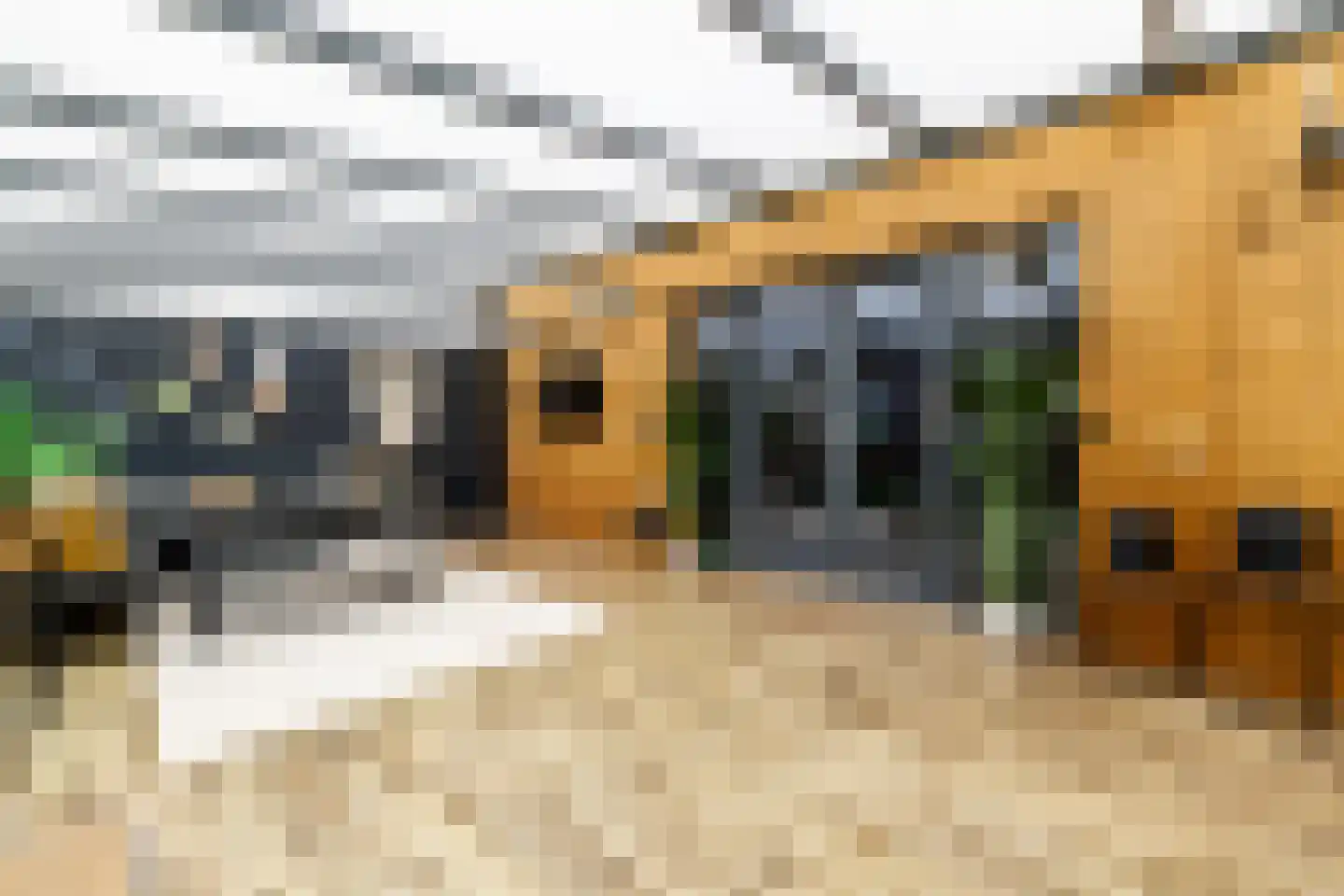 Kinheim 242 Zwanenburg thumbnail 20