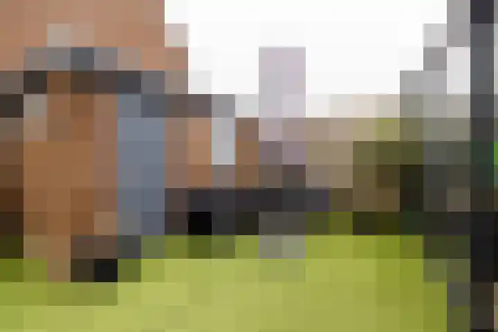 Kinheim 242 Zwanenburg thumbnail 21