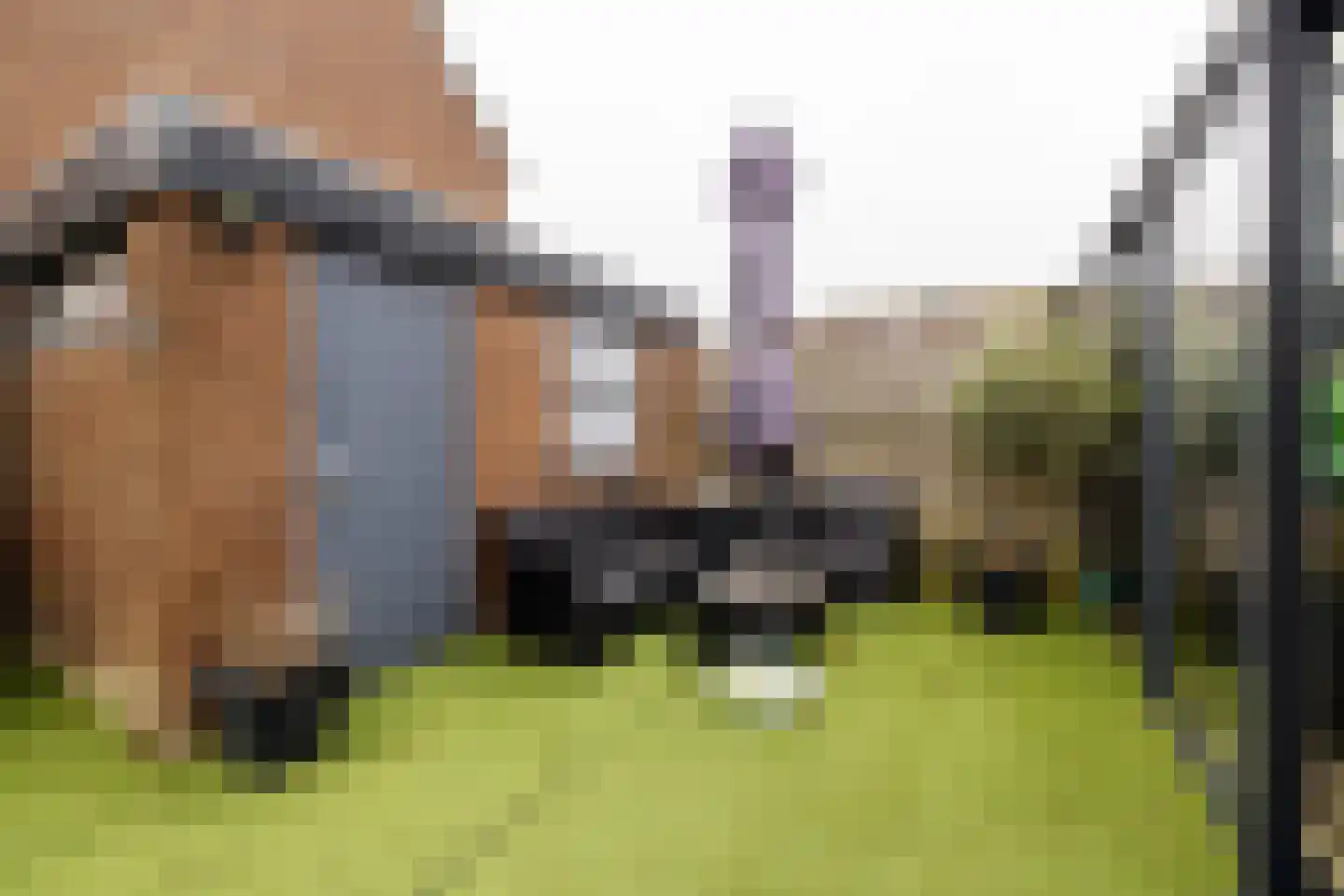 Kinheim 242 Zwanenburg thumbnail 21