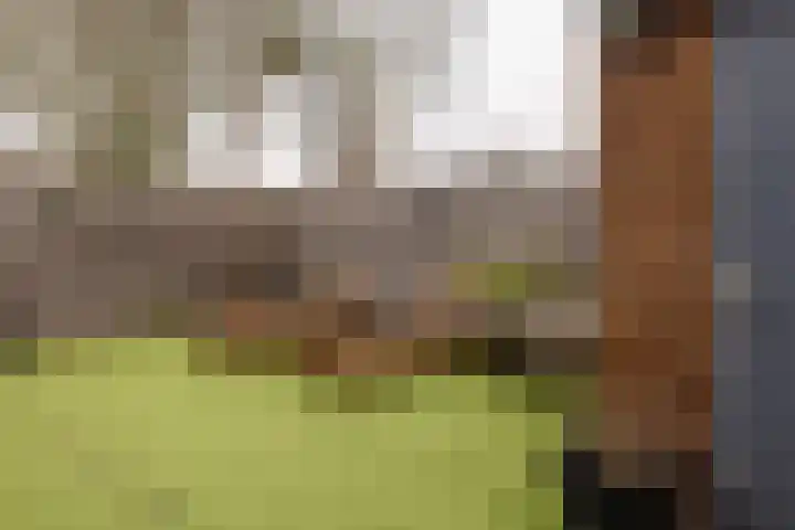 Kinheim 242 Zwanenburg thumbnail 22