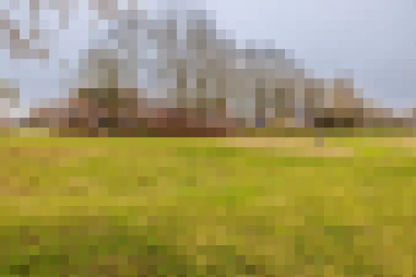 Kinheim 242 Zwanenburg thumbnail 42