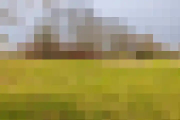 Kinheim 242 Zwanenburg thumbnail 42