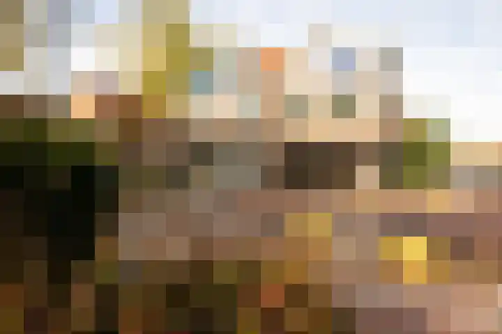 Kinheim 242 Zwanenburg thumbnail 43