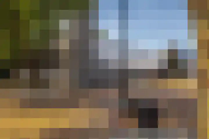 Kinheim 242 Zwanenburg thumbnail 44