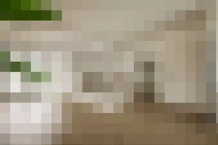 Kinheim 242 Zwanenburg thumbnail 8