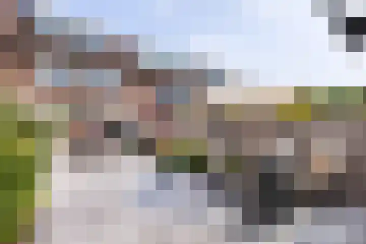 Kinheim 70 Zwanenburg thumbnail 15