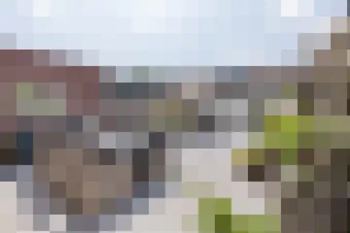 Kinheim 70 Zwanenburg thumbnail 18