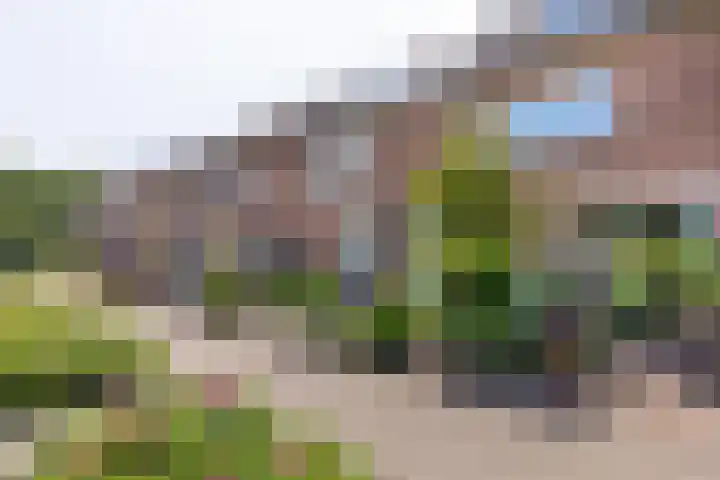 Kinheim 70 Zwanenburg thumbnail 28