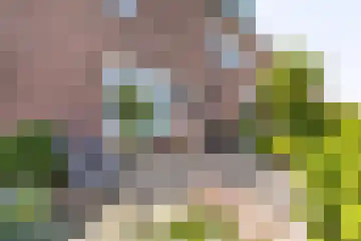 Kinheim 70 Zwanenburg thumbnail 29