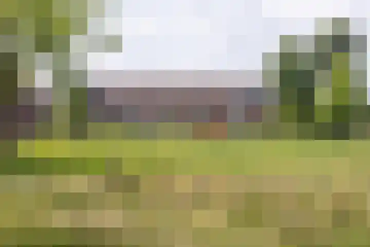Kinheim 70 Zwanenburg thumbnail 30