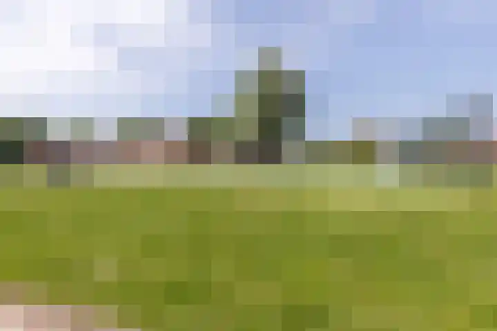 Kinheim 70 Zwanenburg thumbnail 31