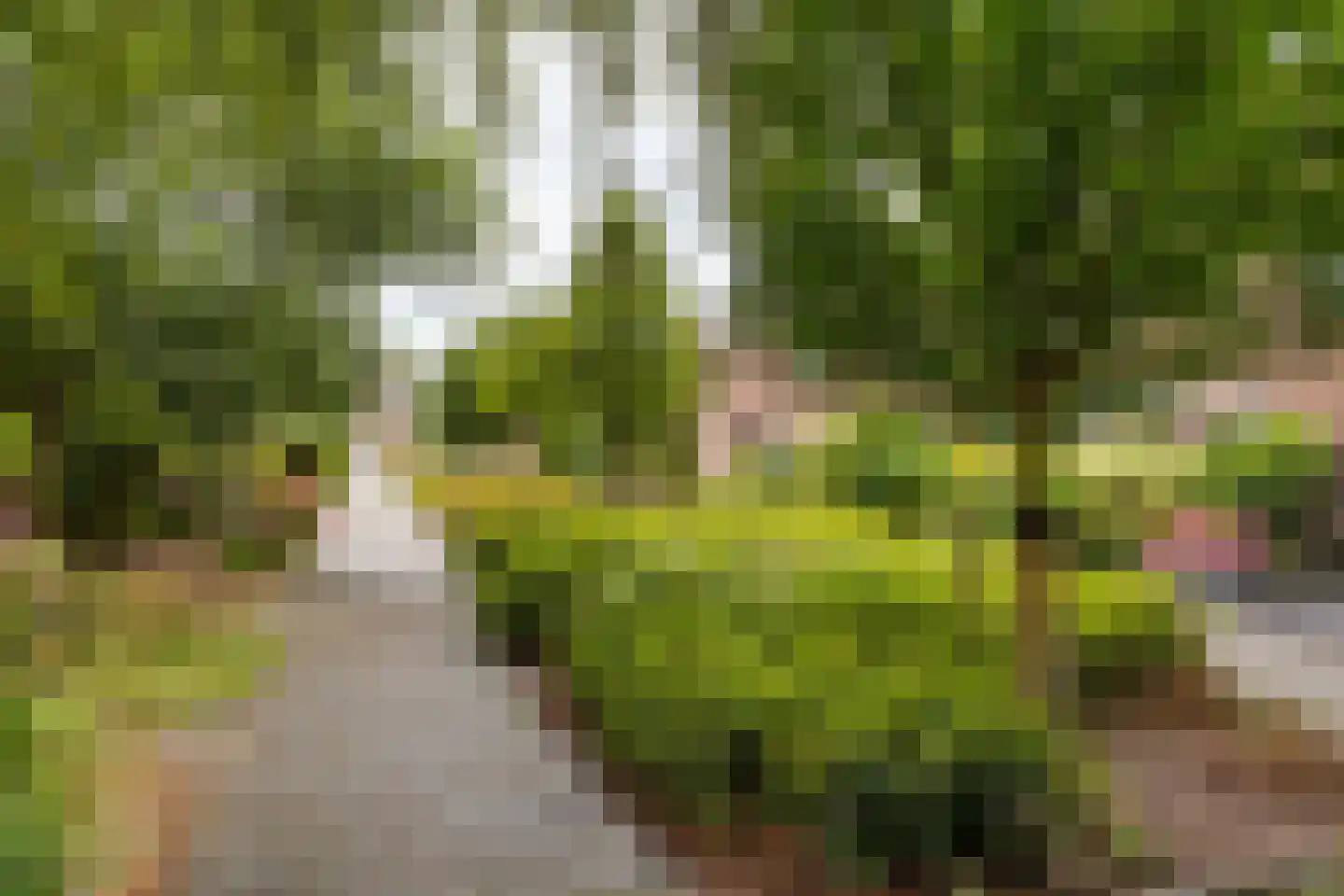Kinheim 86 Zwanenburg thumbnail 31