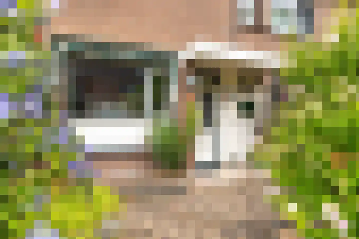 Kinheim 86 Zwanenburg thumbnail 5