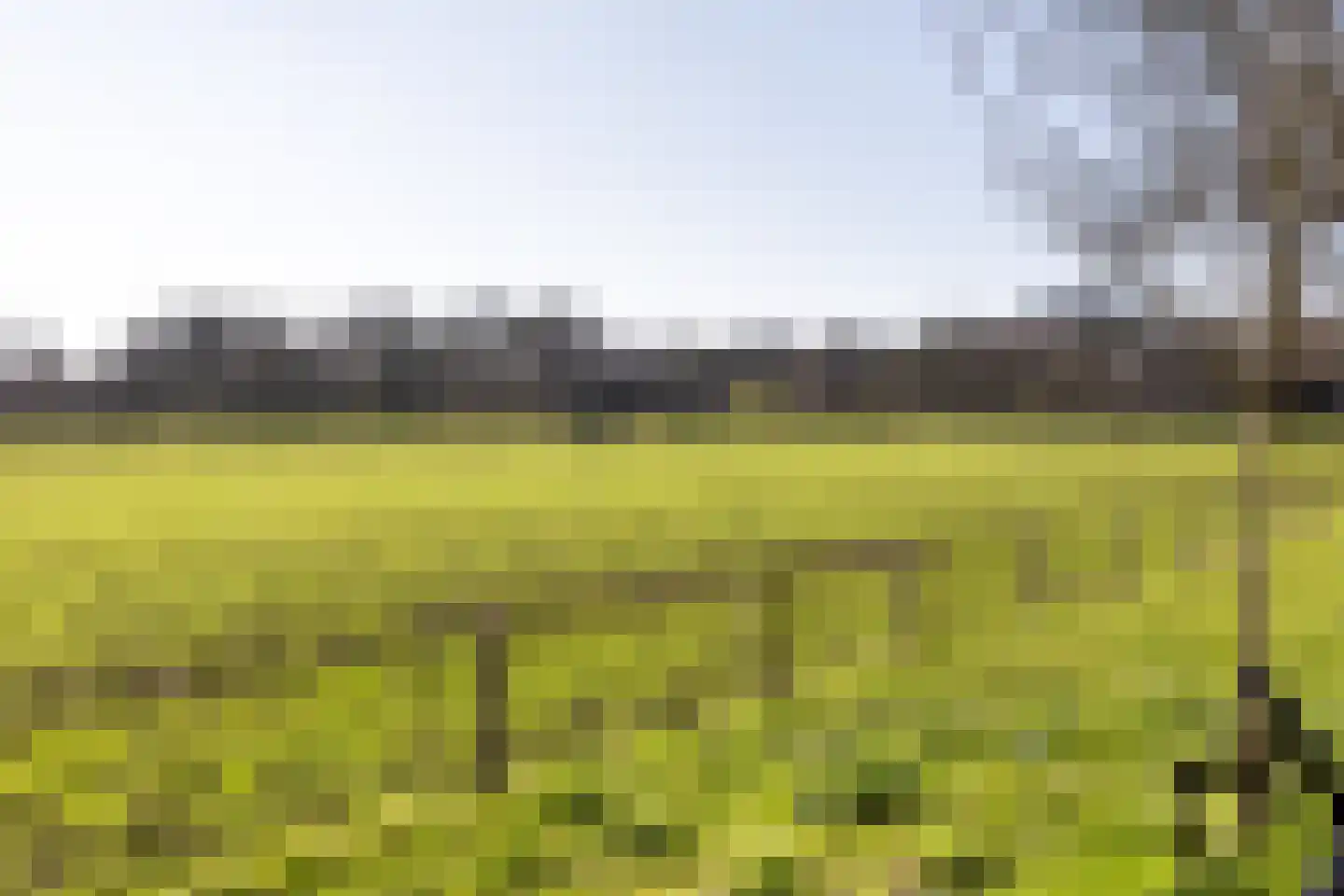 Kinheimplein 4 Bloemendaal thumbnail 28