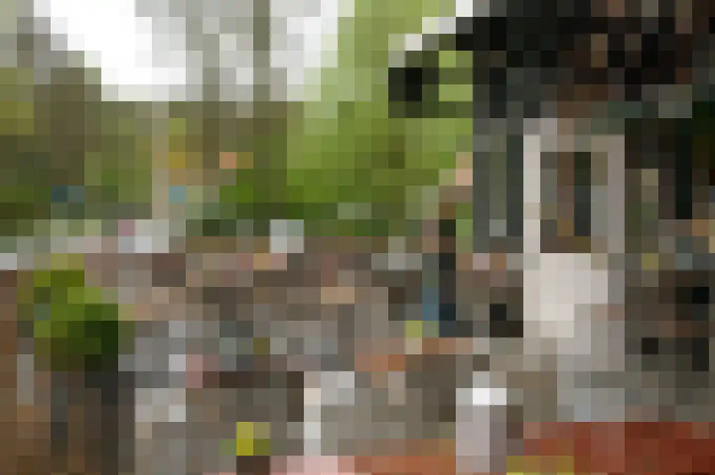Kinheimplein 4 Bloemendaal thumbnail 29