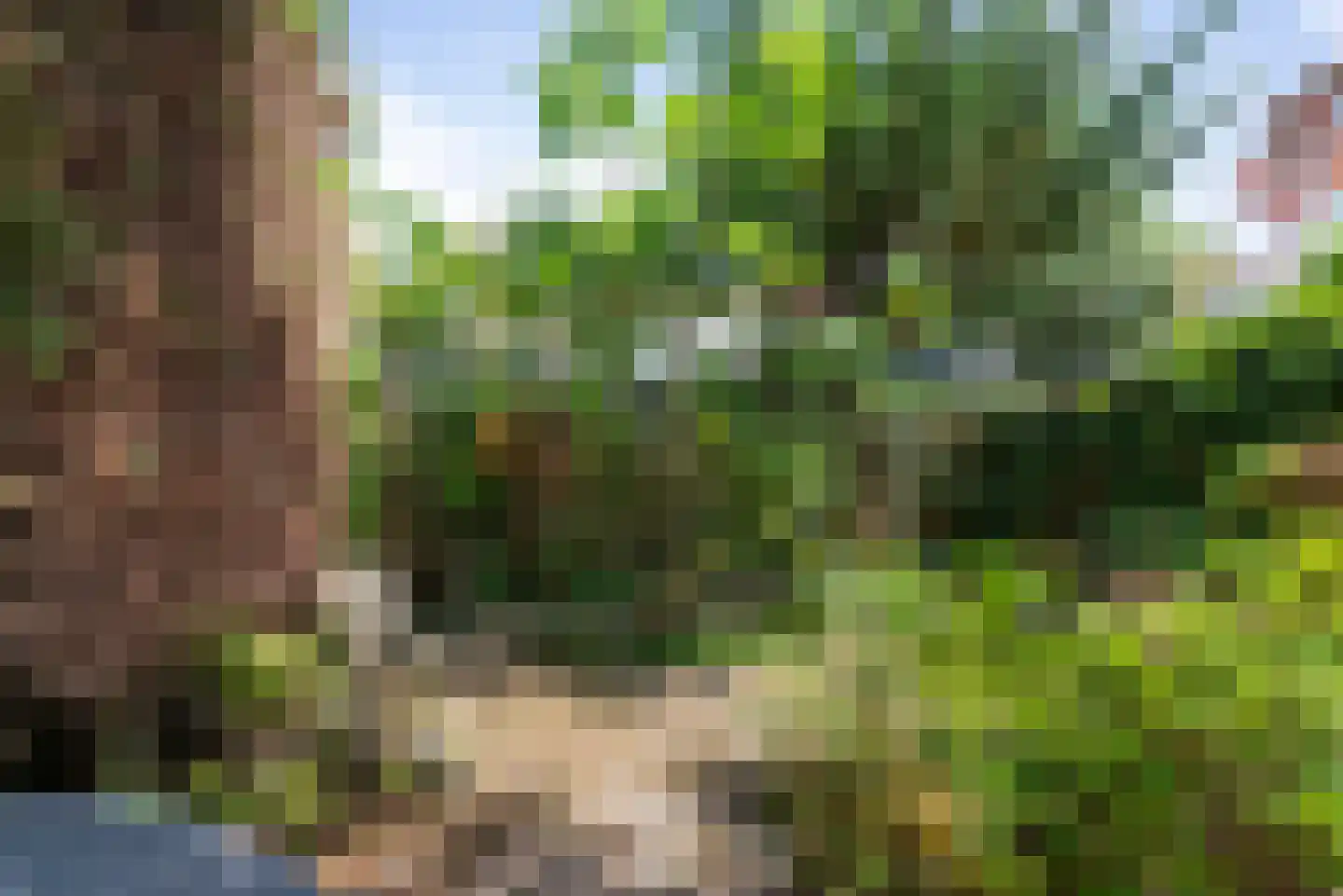 Kinheimweg 25 Bloemendaal thumbnail 19