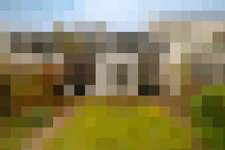 Kinheimweg 51 Bloemendaal thumbnail 19