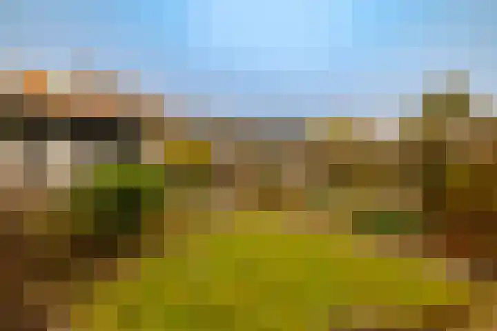Kinheimweg 51 Bloemendaal thumbnail 21